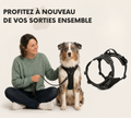 Harnais en Y pour chien haut de gamme Forest