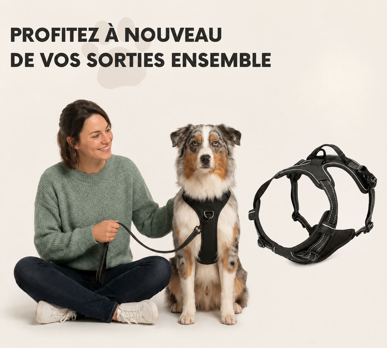 Harnais en Y pour chien haut de gamme Forest