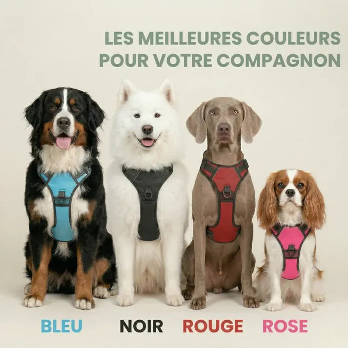 Harnais en Y pour chien haut de gamme Forest