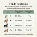 Harnais en Y pour chien haut de gamme Forest