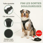 Harnais en Y pour chien haut de gamme Forest