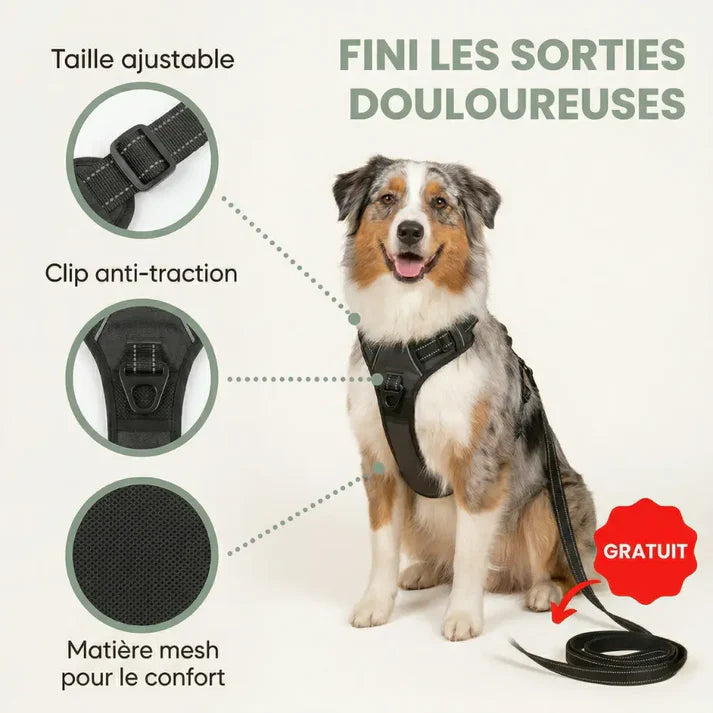 Harnais en Y pour chien haut de gamme Forest