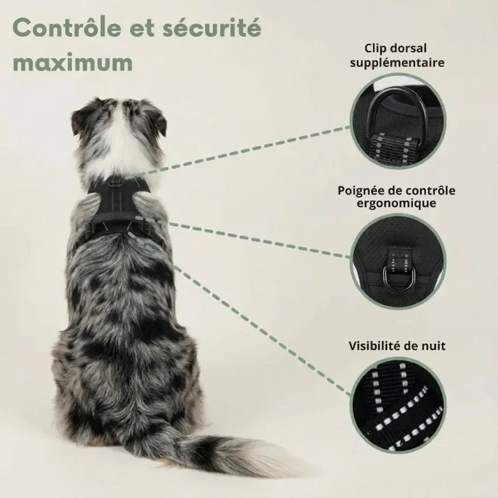 Harnais en Y pour chien haut de gamme Forest