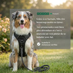 Harnais en Y pour chien haut de gamme Forest