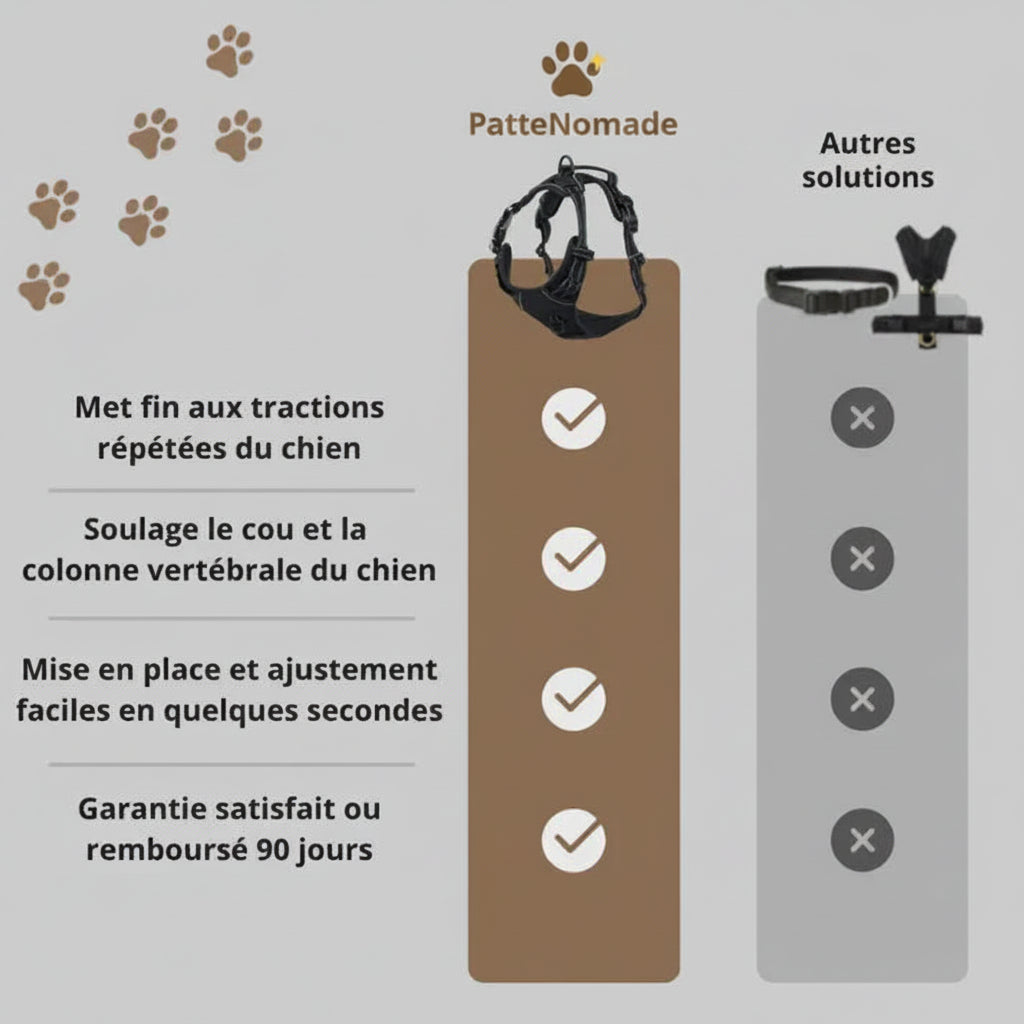 Harnais en Y pour chien haut de gamme Forest